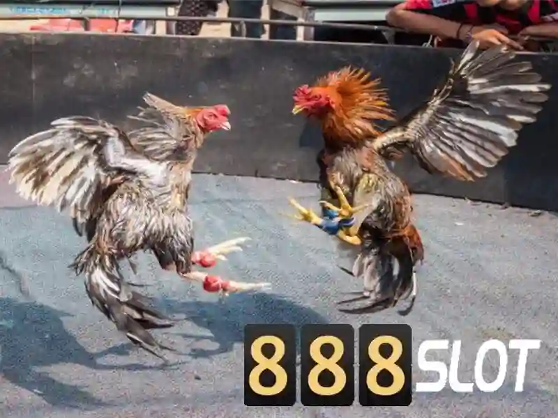 download apk 888slot com – Giới thiệu